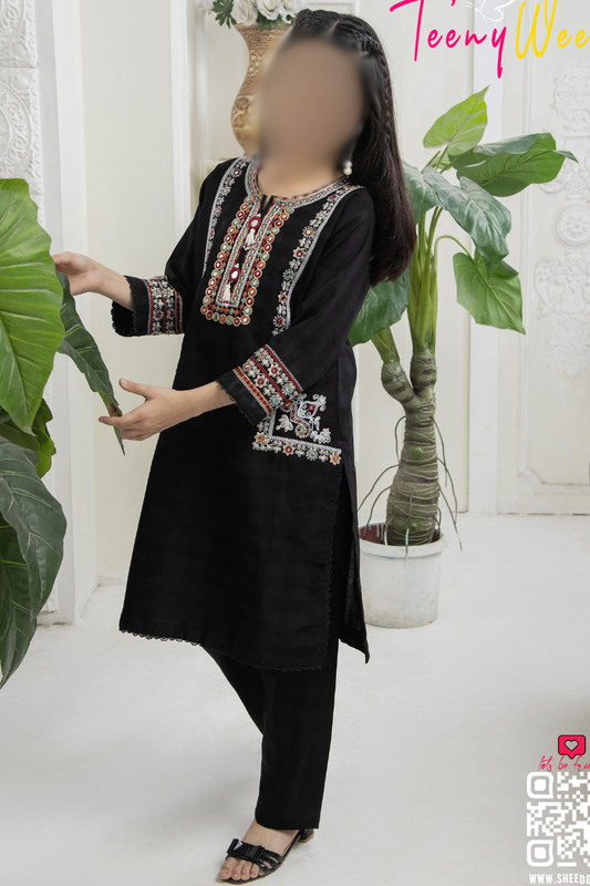 SE-241 - Kids Khaddar Embroidered 2pc